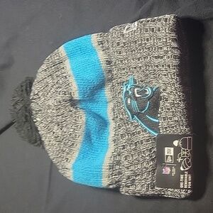Panthers Beanie/Toboggan